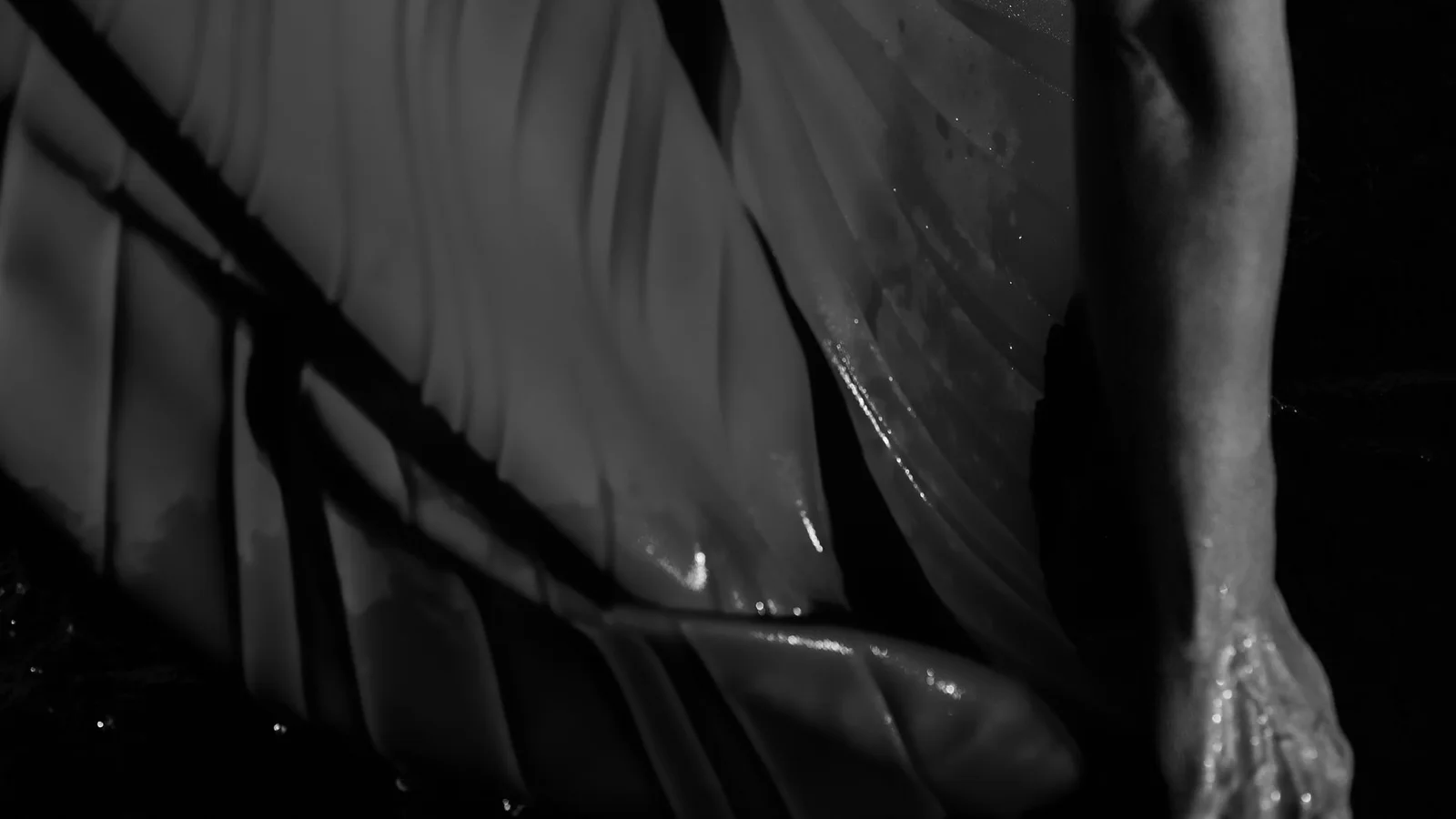 Detalle en blanco y negro de una falda plisada en movimiento